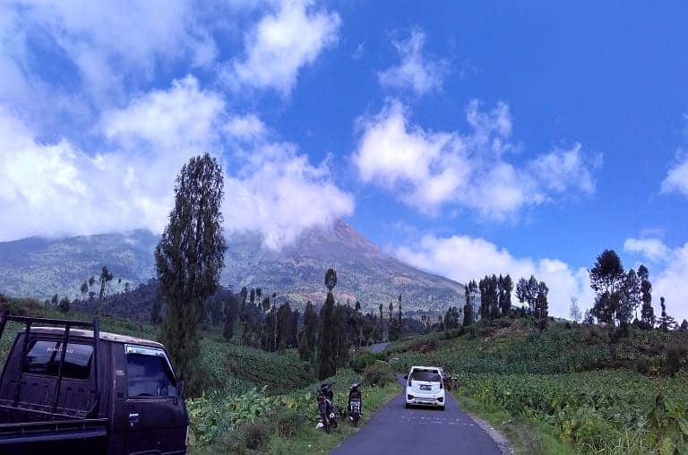 Oleh-Oleh Khas Wonosobo