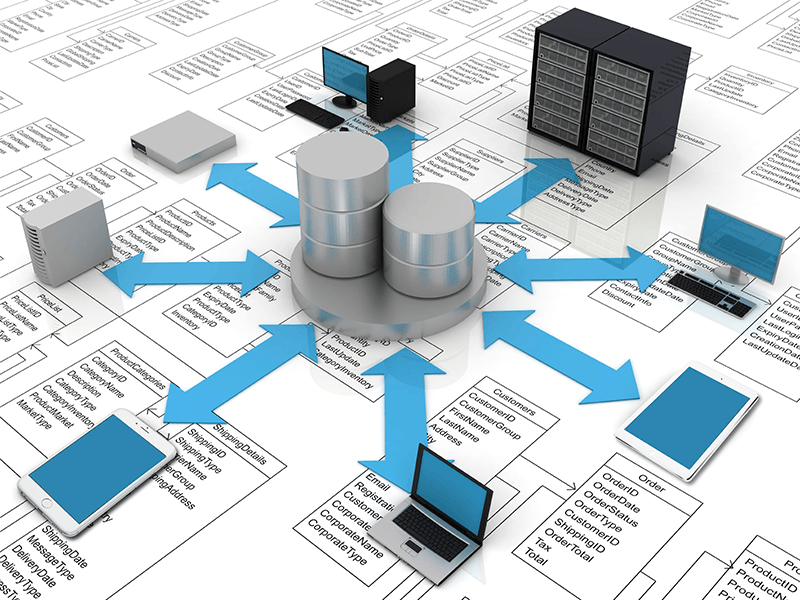 Apa Saja Kegunaan Database