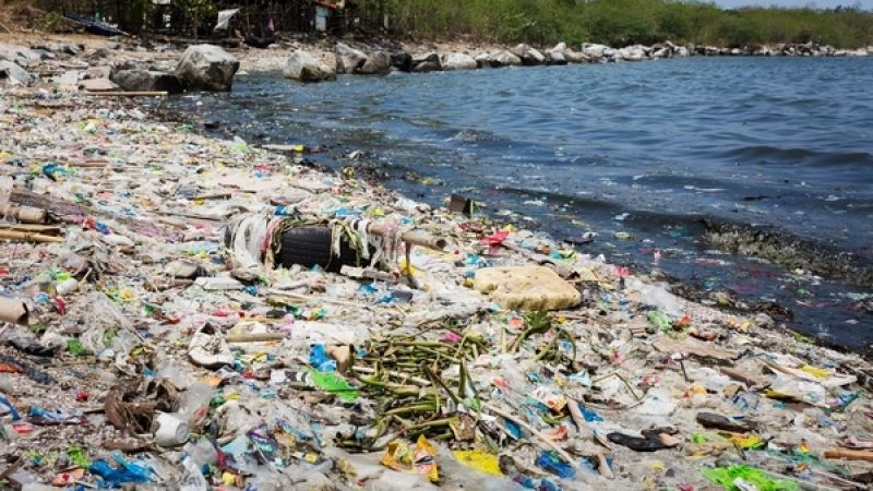 Dampak Sampah Bagi Masyarakat