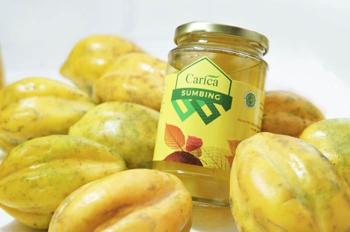 7. Carica