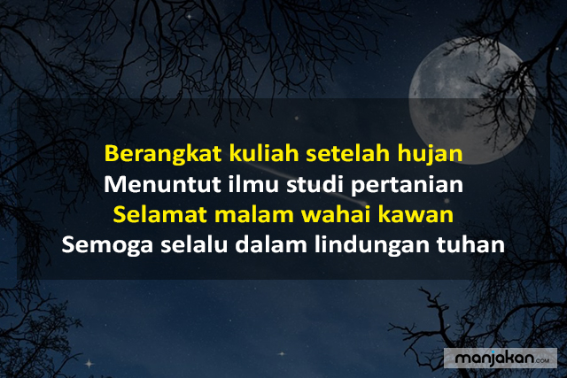 Pantun Selamat Malam Untuk Teman