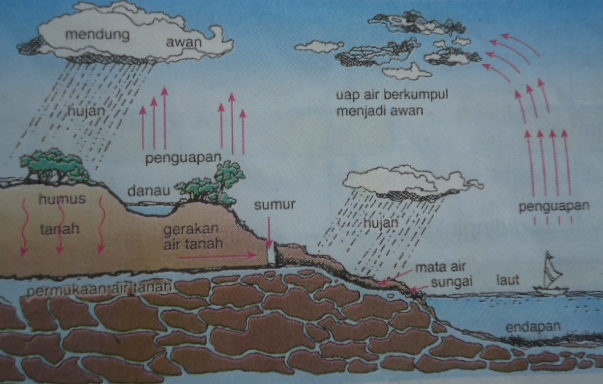 Aktivitas Yang Ada Dalam Proses Siklus Hidrologi