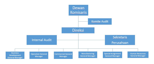 Struktur Dewan Komisaris Dan Sistem Dua Tingkat