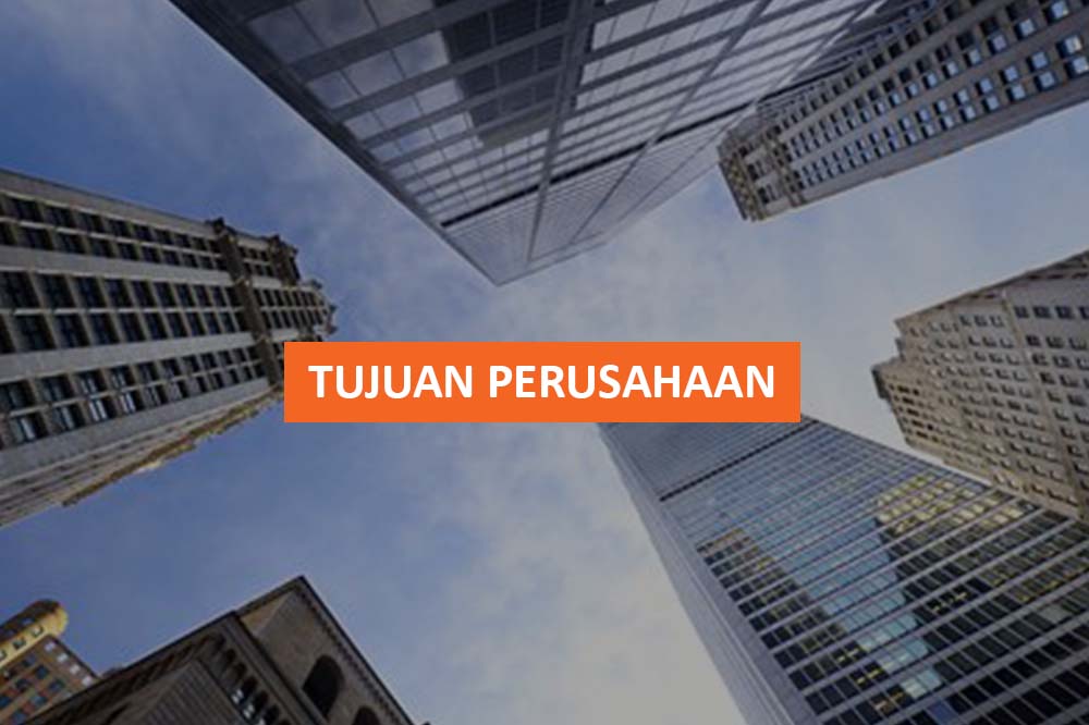 TUJUAN PERUSAHAAN