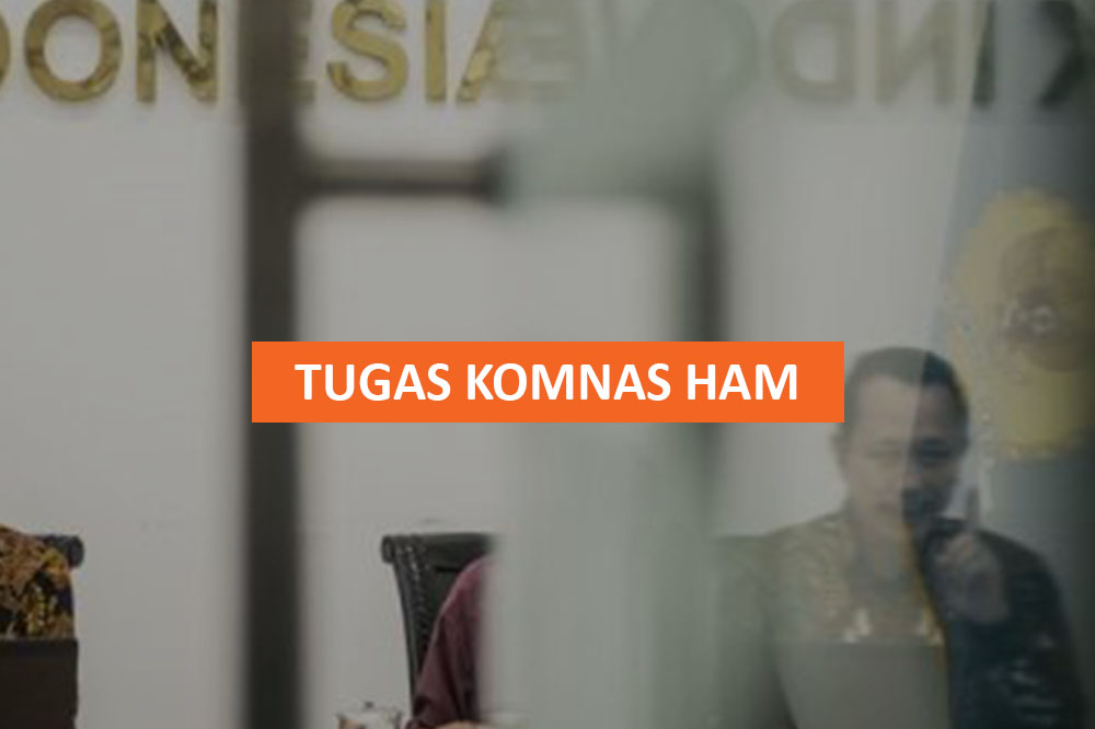 Tugas Komnas HAM