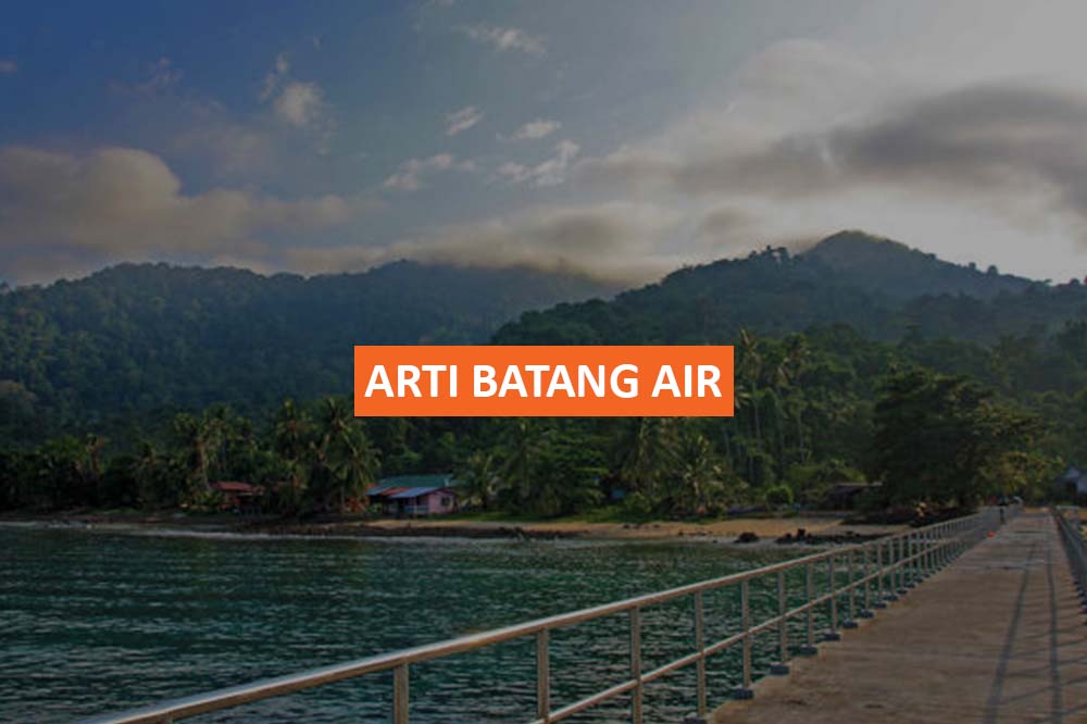 ARTI BATANG AIR