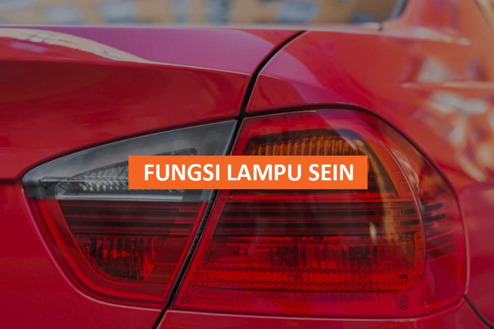 FUNGSI LAMPU SEIN